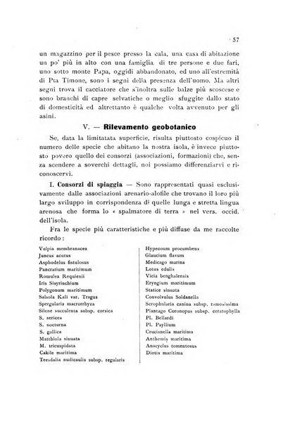 Archivio botanico per la sistematica, fitogeografia e genetica (storica e sperimentale) e Bollettino dell'Istituto botanico della R. Università di Modena