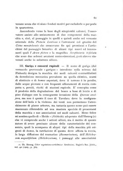 Archivio botanico per la sistematica, fitogeografia e genetica (storica e sperimentale) e Bollettino dell'Istituto botanico della R. Università di Modena