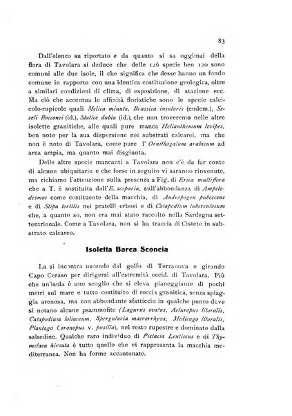 Archivio botanico per la sistematica, fitogeografia e genetica (storica e sperimentale) e Bollettino dell'Istituto botanico della R. Università di Modena