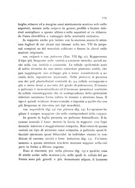 Archivio botanico per la sistematica, fitogeografia e genetica (storica e sperimentale) e Bollettino dell'Istituto botanico della R. Università di Modena