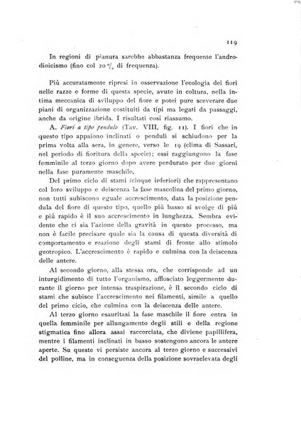 Archivio botanico per la sistematica, fitogeografia e genetica (storica e sperimentale) e Bollettino dell'Istituto botanico della R. Università di Modena