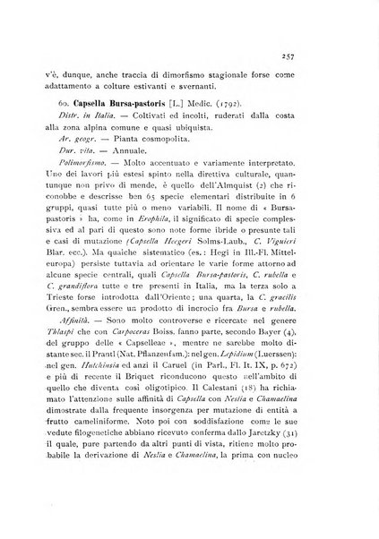 Archivio botanico per la sistematica, fitogeografia e genetica (storica e sperimentale) e Bollettino dell'Istituto botanico della R. Università di Modena