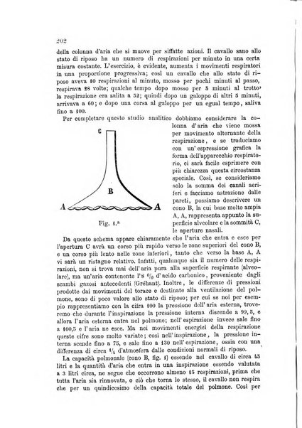 La clinica veterinaria rivista di medicina e chirurgia pratica degli animali domestici