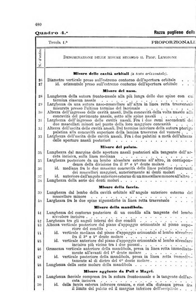 La clinica veterinaria rivista di medicina e chirurgia pratica degli animali domestici