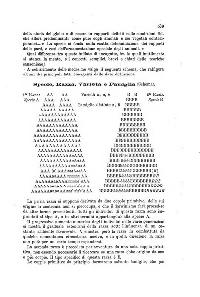 La clinica veterinaria rivista di medicina e chirurgia pratica degli animali domestici