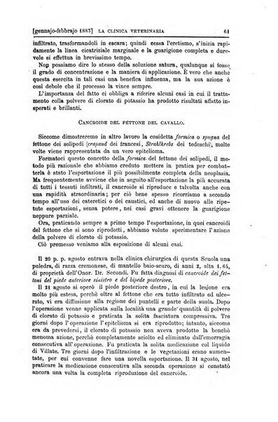 La clinica veterinaria rivista di medicina e chirurgia pratica degli animali domestici