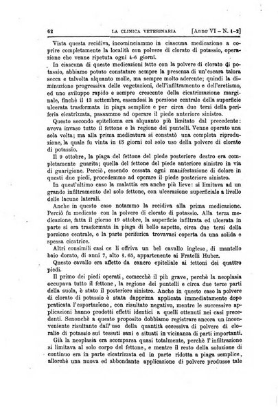 La clinica veterinaria rivista di medicina e chirurgia pratica degli animali domestici