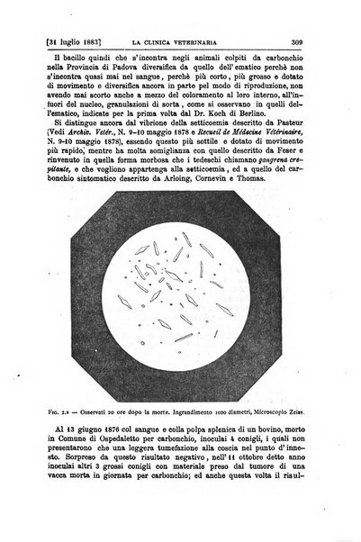 La clinica veterinaria rivista di medicina e chirurgia pratica degli animali domestici