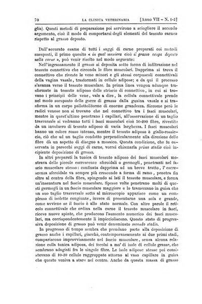 La clinica veterinaria rivista di medicina e chirurgia pratica degli animali domestici