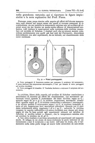 La clinica veterinaria rivista di medicina e chirurgia pratica degli animali domestici