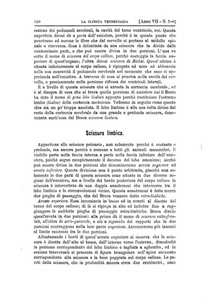 La clinica veterinaria rivista di medicina e chirurgia pratica degli animali domestici