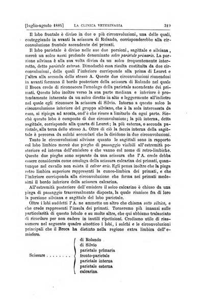 La clinica veterinaria rivista di medicina e chirurgia pratica degli animali domestici