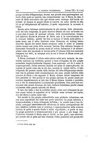 La clinica veterinaria rivista di medicina e chirurgia pratica degli animali domestici