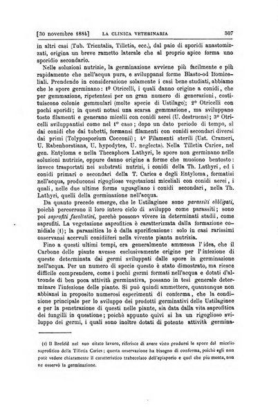 La clinica veterinaria rivista di medicina e chirurgia pratica degli animali domestici