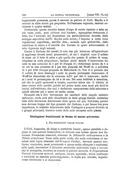 La clinica veterinaria rivista di medicina e chirurgia pratica degli animali domestici