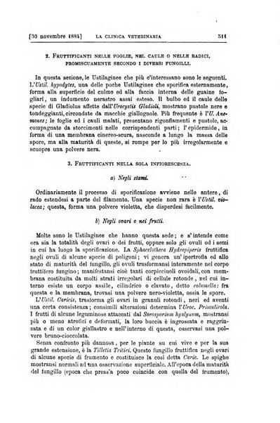 La clinica veterinaria rivista di medicina e chirurgia pratica degli animali domestici