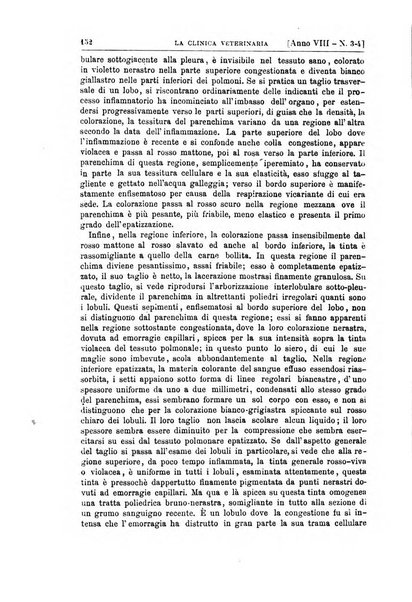 La clinica veterinaria rivista di medicina e chirurgia pratica degli animali domestici