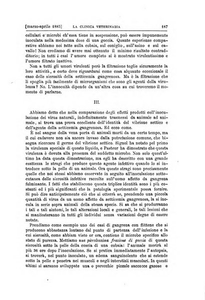 La clinica veterinaria rivista di medicina e chirurgia pratica degli animali domestici