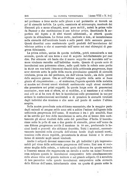 La clinica veterinaria rivista di medicina e chirurgia pratica degli animali domestici