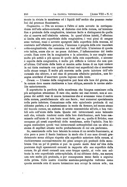 La clinica veterinaria rivista di medicina e chirurgia pratica degli animali domestici