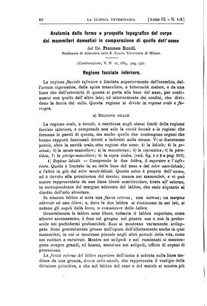 La clinica veterinaria rivista di medicina e chirurgia pratica degli animali domestici