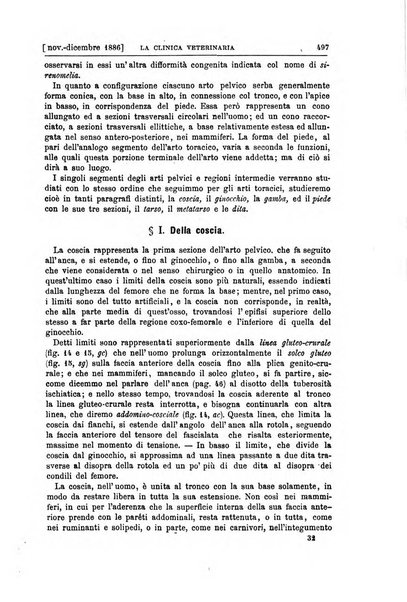 La clinica veterinaria rivista di medicina e chirurgia pratica degli animali domestici