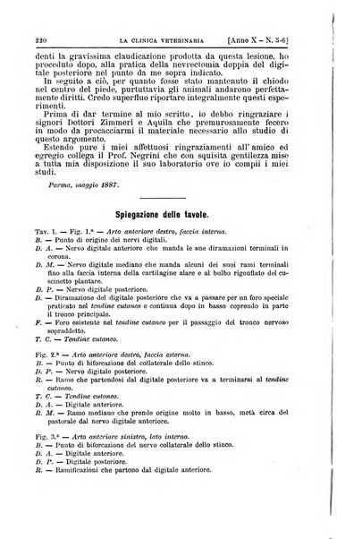 La clinica veterinaria rivista di medicina e chirurgia pratica degli animali domestici