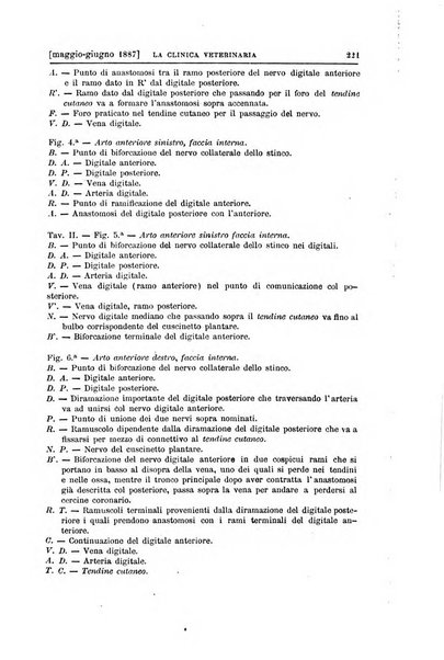 La clinica veterinaria rivista di medicina e chirurgia pratica degli animali domestici