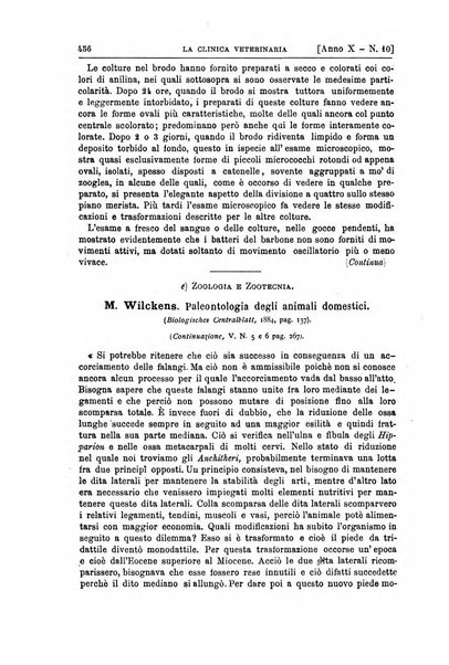 La clinica veterinaria rivista di medicina e chirurgia pratica degli animali domestici