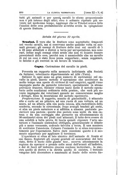 La clinica veterinaria rivista di medicina e chirurgia pratica degli animali domestici