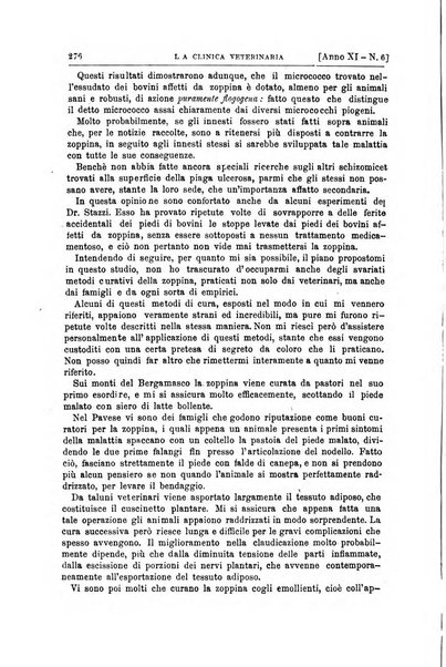 La clinica veterinaria rivista di medicina e chirurgia pratica degli animali domestici