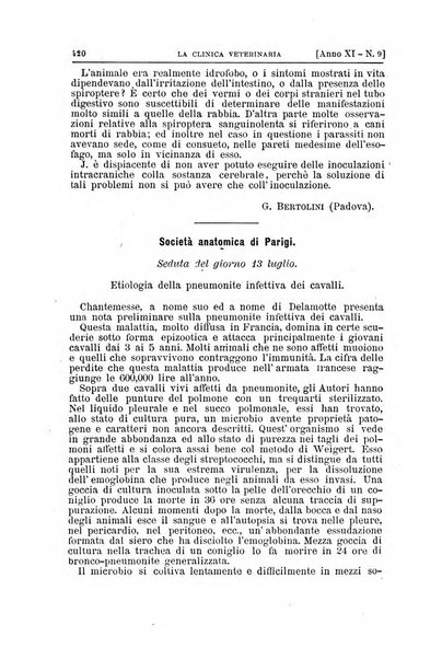 La clinica veterinaria rivista di medicina e chirurgia pratica degli animali domestici