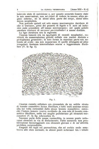 La clinica veterinaria rivista di medicina e chirurgia pratica degli animali domestici