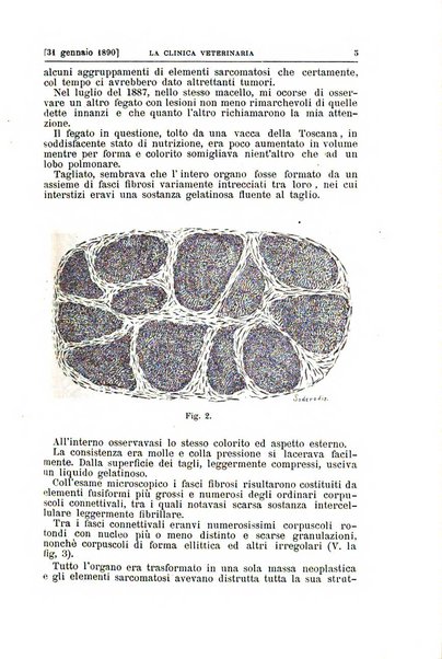 La clinica veterinaria rivista di medicina e chirurgia pratica degli animali domestici