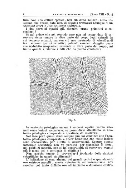 La clinica veterinaria rivista di medicina e chirurgia pratica degli animali domestici