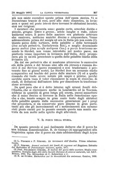 La clinica veterinaria rivista di medicina e chirurgia pratica degli animali domestici