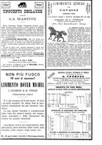 giornale/MIL0124118/1891/unico/00000378