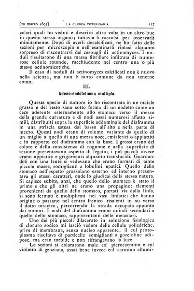 La clinica veterinaria rivista di medicina e chirurgia pratica degli animali domestici