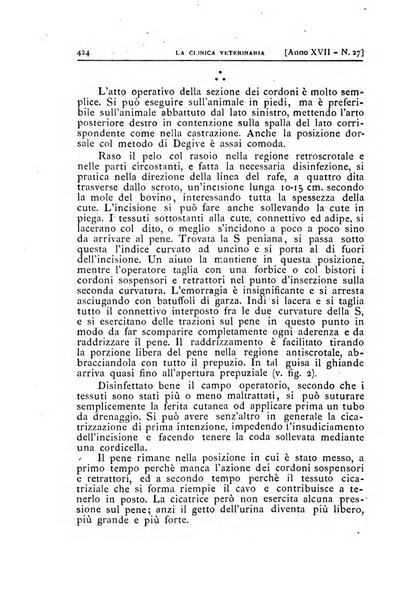 La clinica veterinaria rivista di medicina e chirurgia pratica degli animali domestici