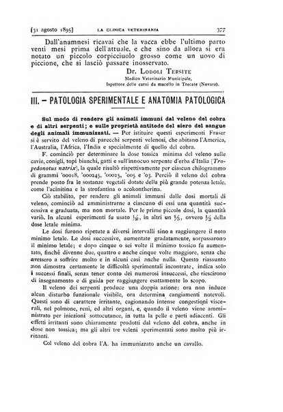 La clinica veterinaria rivista di medicina e chirurgia pratica degli animali domestici