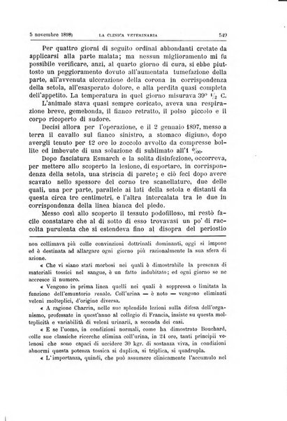 La clinica veterinaria rivista di medicina e chirurgia pratica degli animali domestici