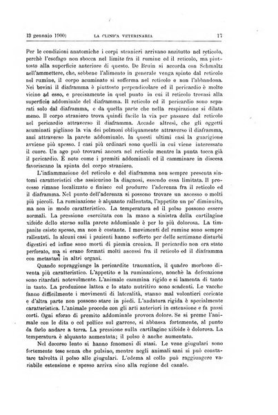 La clinica veterinaria rivista di medicina e chirurgia pratica degli animali domestici