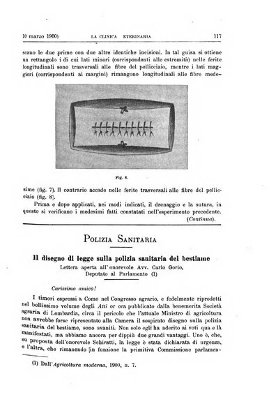 La clinica veterinaria rivista di medicina e chirurgia pratica degli animali domestici