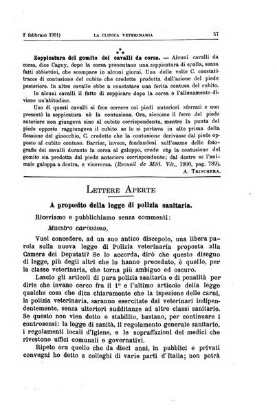 La clinica veterinaria rivista di medicina e chirurgia pratica degli animali domestici