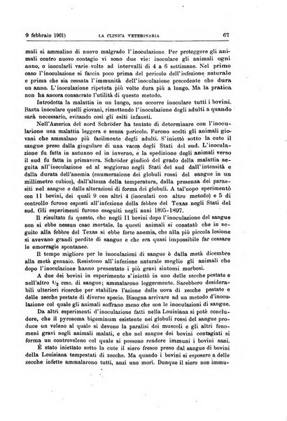 La clinica veterinaria rivista di medicina e chirurgia pratica degli animali domestici