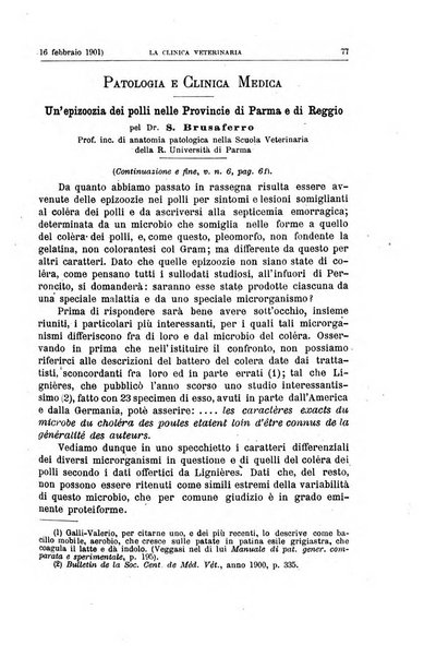 La clinica veterinaria rivista di medicina e chirurgia pratica degli animali domestici