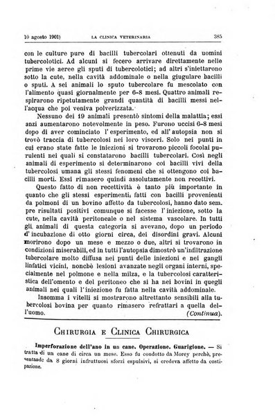 La clinica veterinaria rivista di medicina e chirurgia pratica degli animali domestici