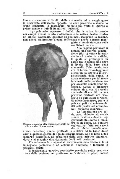 La clinica veterinaria rivista di medicina e chirurgia pratica degli animali domestici