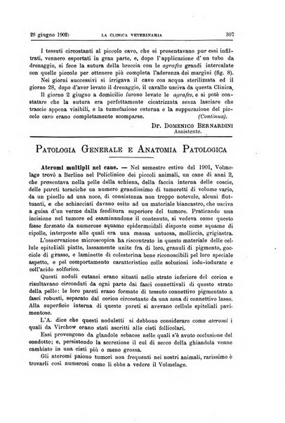 La clinica veterinaria rivista di medicina e chirurgia pratica degli animali domestici