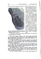 giornale/MIL0124118/1902/unico/00000450